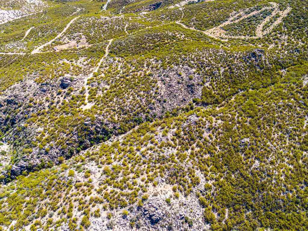 Vacant Land For Sale - Palace Drive<br/> Mountain Center, CA 92561