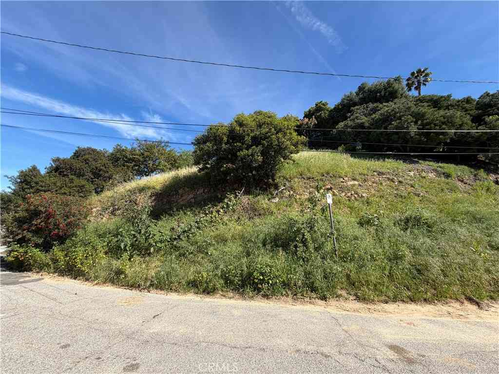 Vacant Land For Sale - 2556 El Rosa Drive<br/> Los Angeles, CA 90065