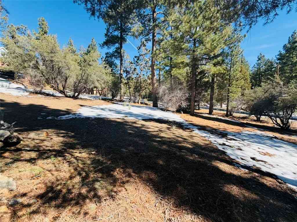 Vacant Land For Sale - 808 Antelope Mountain Drive<br/> Big Bear City, CA 92314