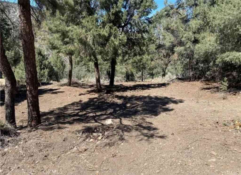 Vacant Land For Sale - 2217 Saint Bernard Drive<br/> Pine Mountain Club, CA 93222