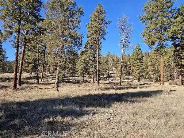 Vacant Land For Sale - Susquehanna Road<br/> Dorris, CA 96023
