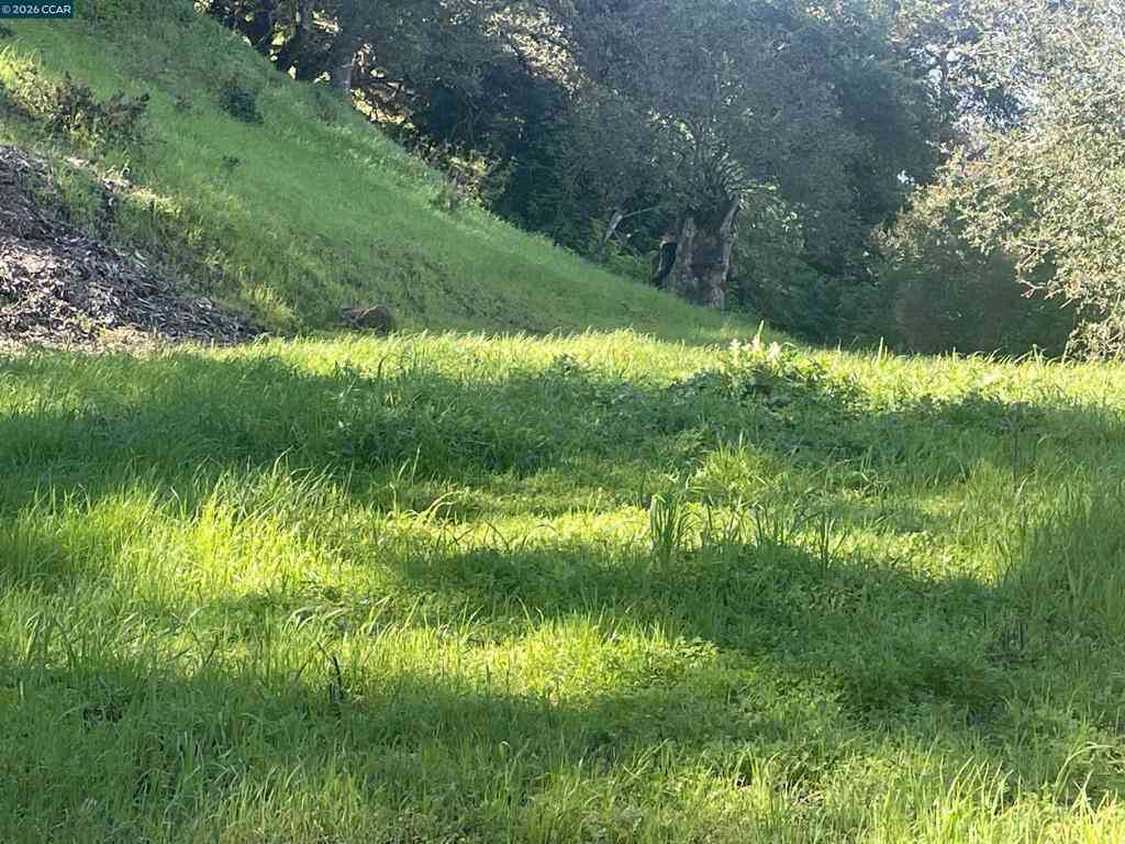 Vacant Land For Sale - 2965 Rohrer Dr<br/> Lafayette, CA 94595