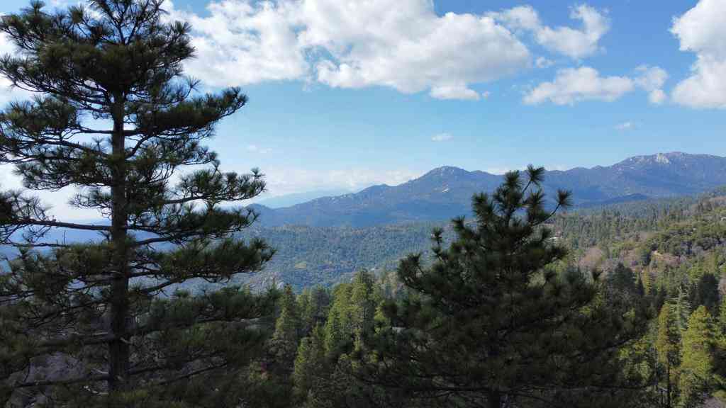 Vacant Land For Sale - Green Craig<br/> Idyllwild, CA 92549