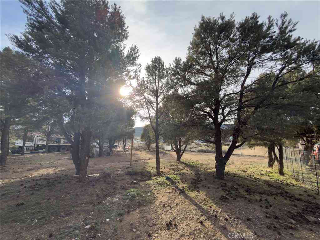 Vacant Land For Sale - 1820 Golden Rod<br/> Big Bear City, CA 92314