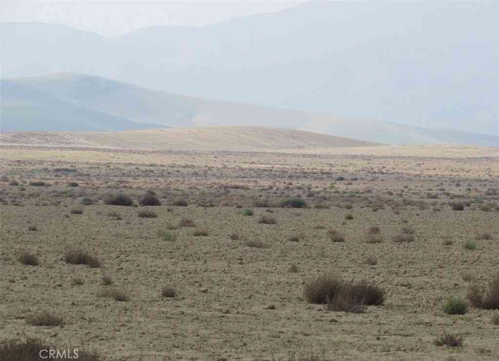 Vacant Land For Sale - 043-470-11-00-2 Sunflower Avenue<br/> Lost Hills, CA 93249