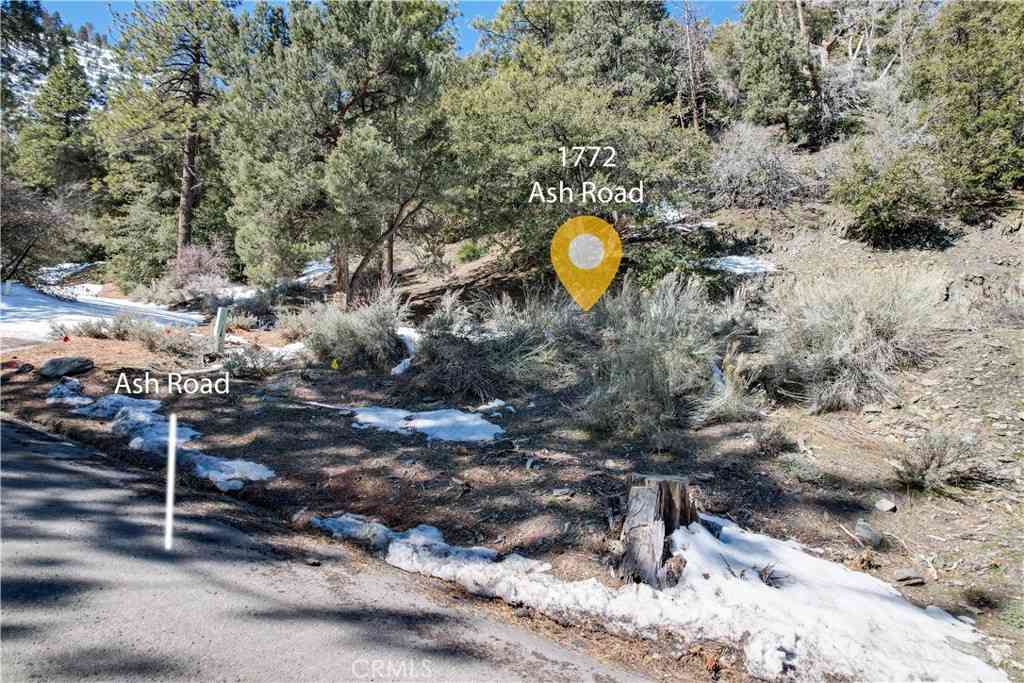 Vacant Land For Sale - 1772 Ash<br/> Wrightwood, CA 92397