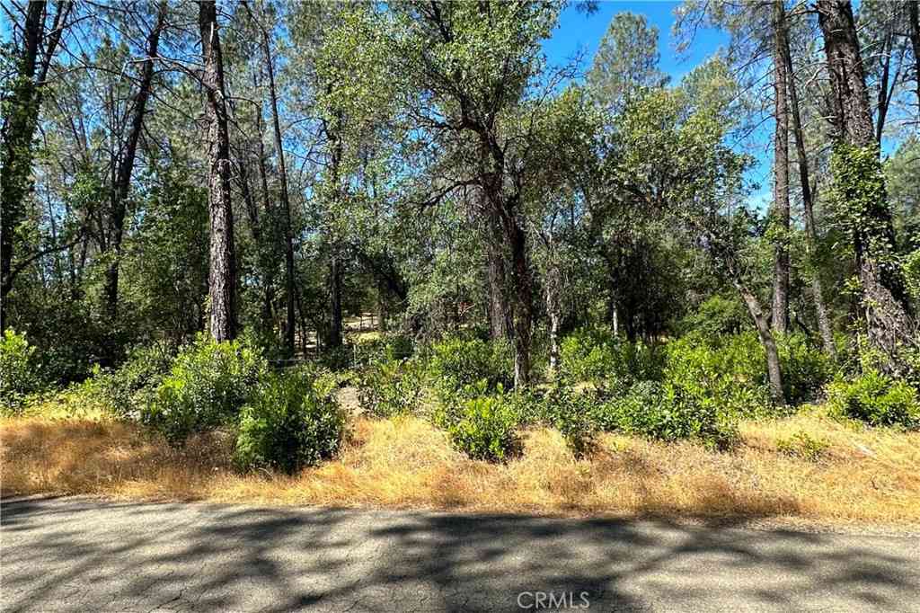 Vacant Land For Sale - 9200 Silver King Road<br/> Redding, CA 96001