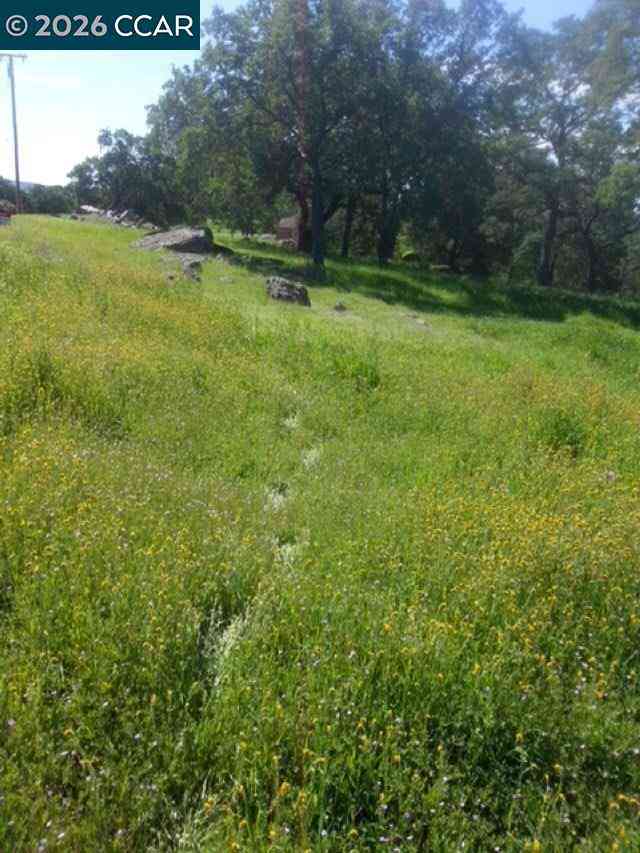 Vacant Land For Sale - 56 Deer Hollow Trail<br/> Browns Valley, CA 95918