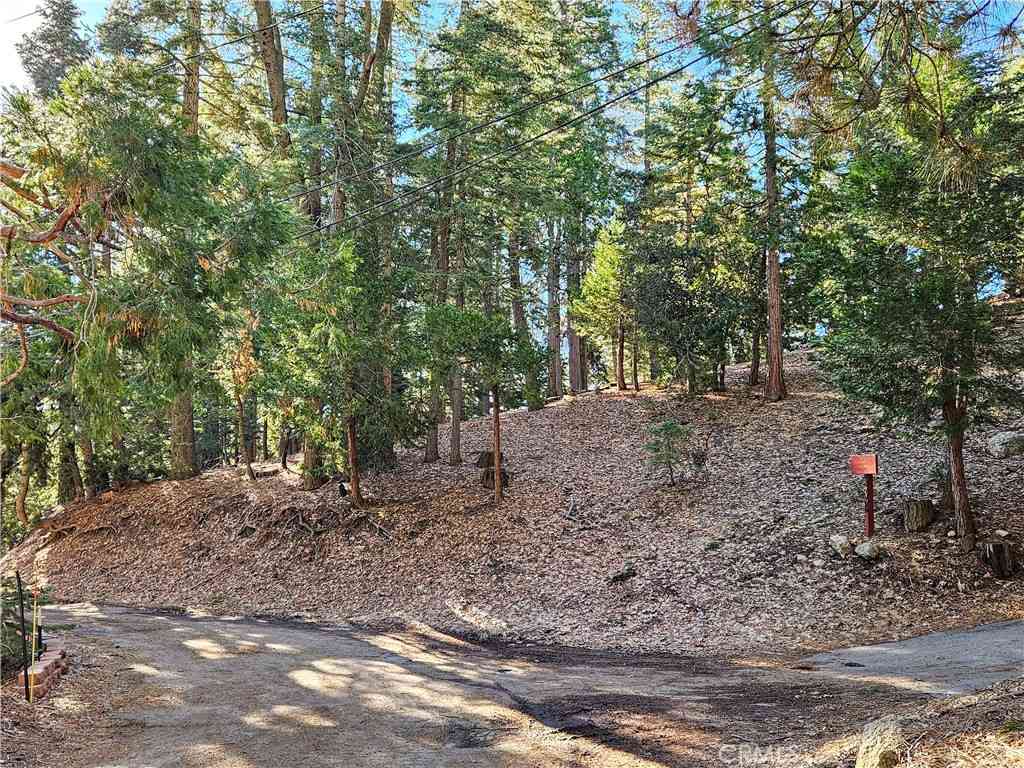 Vacant Land For Sale - Brentwood Drive<br/> Lake Arrowhead, CA 92352