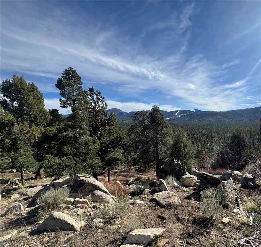 Vacant Land For Sale - 42535 Pegasus Way<br/> Big Bear Lake, CA 92315