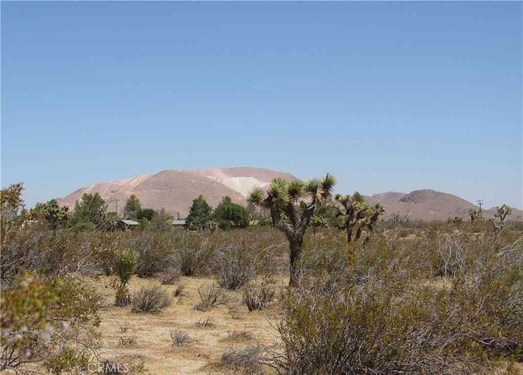 Vacant Land For Sale - 346-214-55-00-0 Gibbs Avenue<br/> Mojave, CA 93501