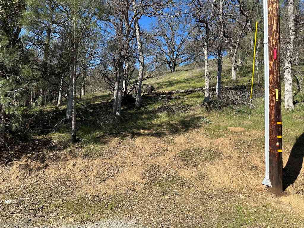 Vacant Land For Sale - 17509 Cache Creek<br/> Clearlake Oaks, CA 95423