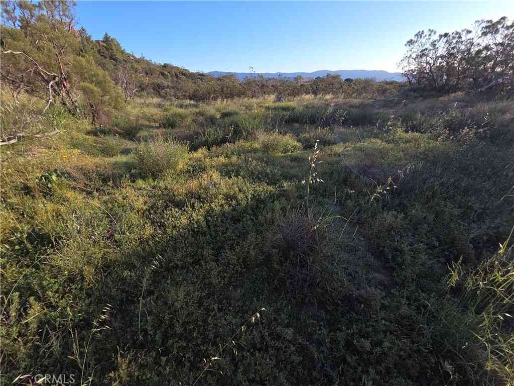 Vacant Land For Sale - 1007 Roan Way<br/> Aguanga, CA 92536