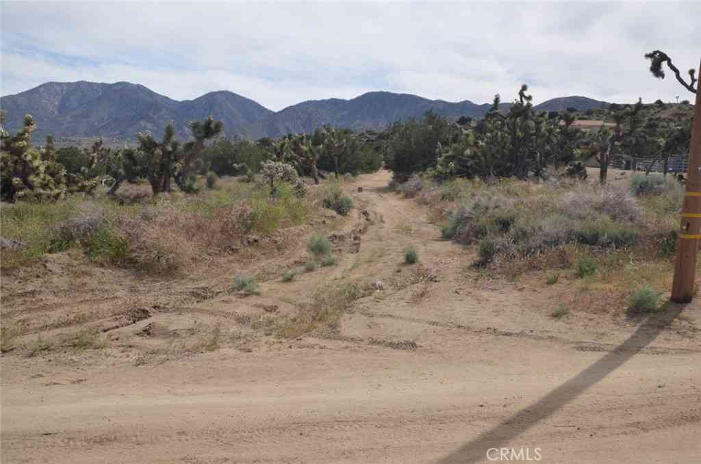 Vacant Land For Sale - Longview X Old Homestead<br/> Juniper Hills, CA 93553
