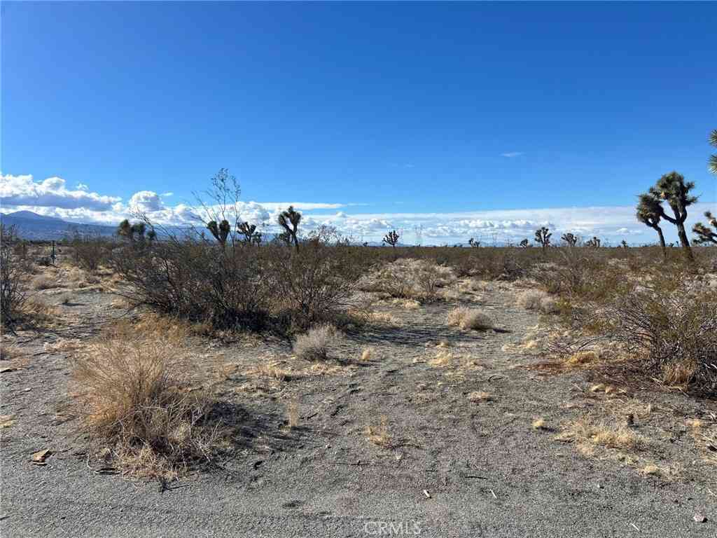 Vacant Land For Sale - Silver Rock Road<br/> Pinon Hills, CA 92372