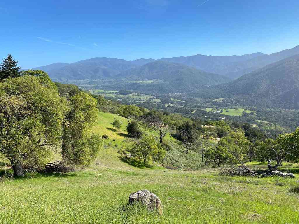 Vacant Land For Sale - 35180 Sky Ranch Road<br/> Monterey County, Carmel Valley, CA 93924