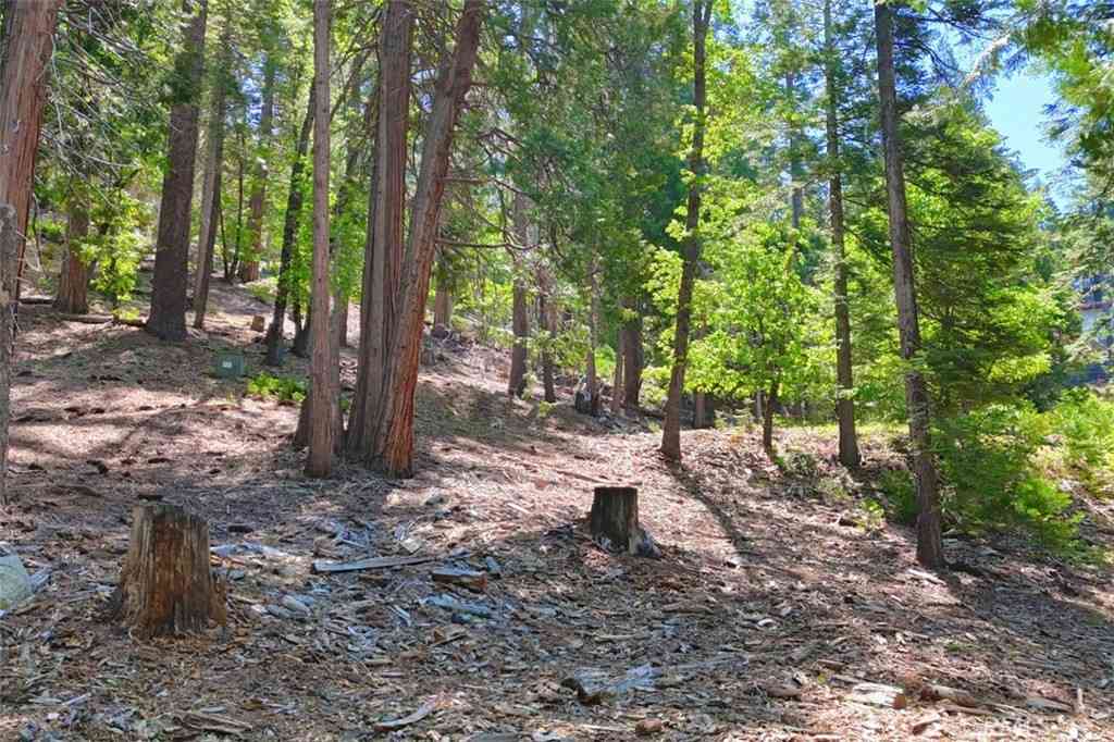 Vacant Land For Sale - 7220 Yosemite Park Way<br/> Yosemite, CA 95389