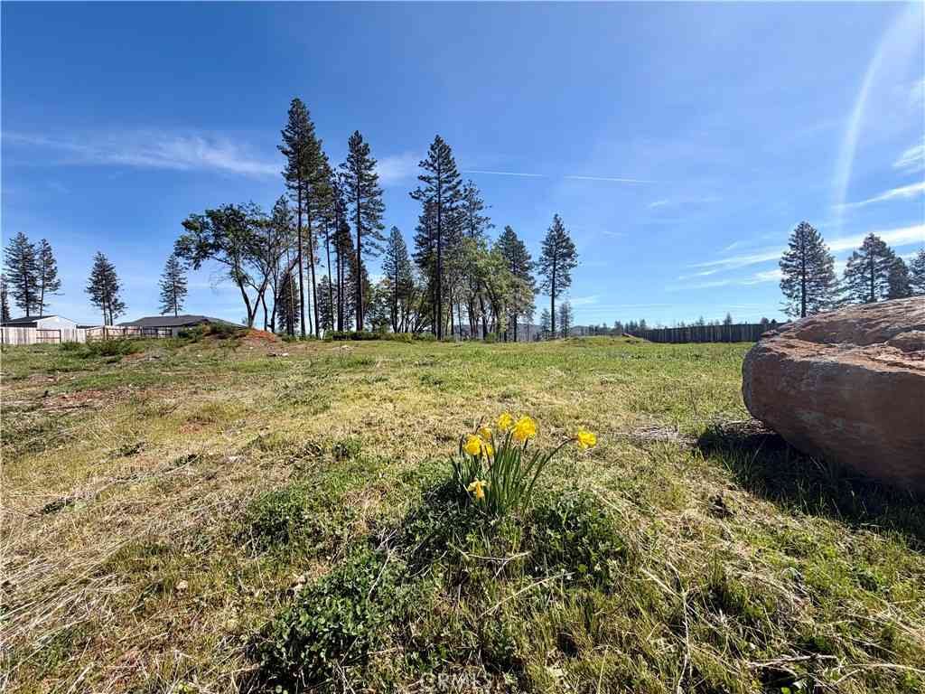 Vacant Land For Sale - 6588 Pentz Road<br/> Paradise, CA 95969
