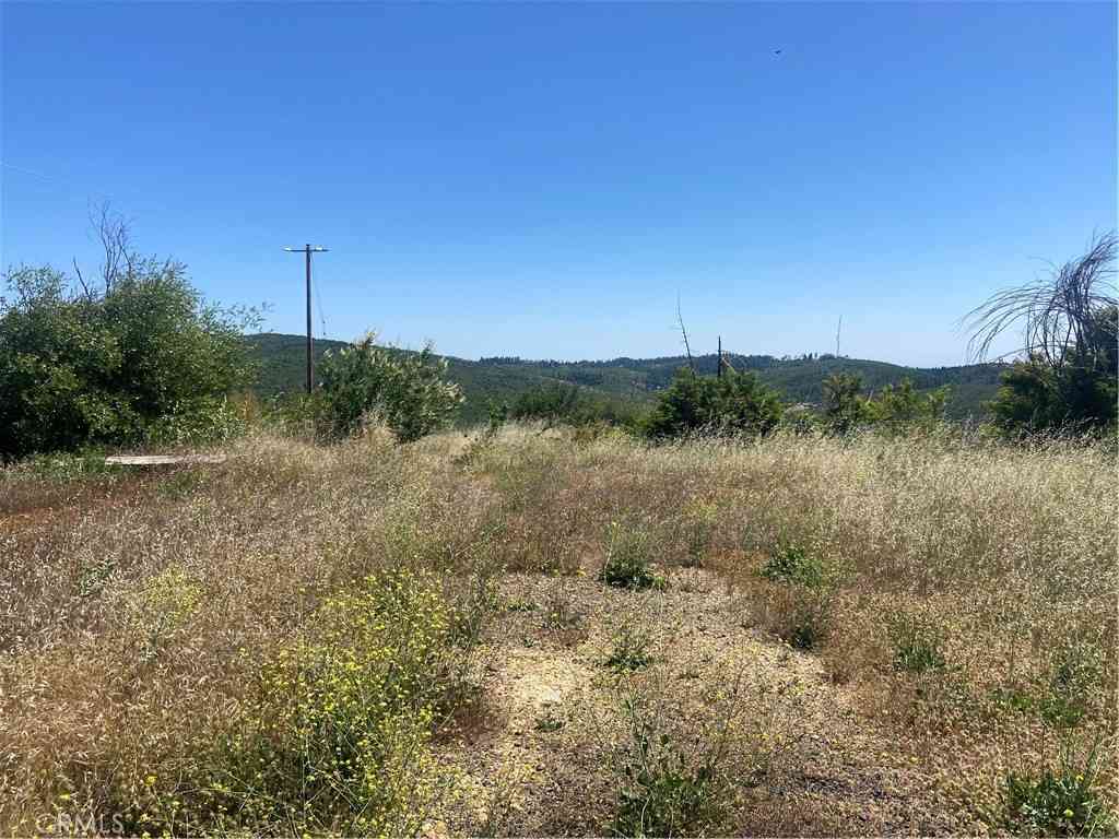 Vacant Land For Sale - 3510 Stone Mountain Road<br/> Oroville, CA 95965