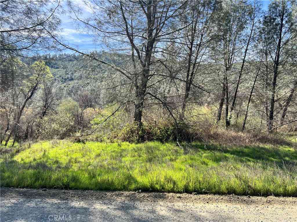 Vacant Land For Sale - 2286 New Long Valley Road<br/> Clearlake Oaks, CA 95423