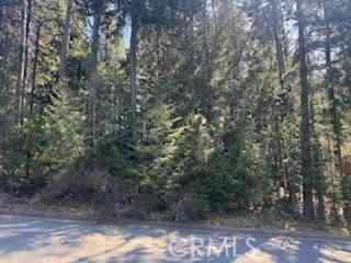 Vacant Land For Sale - 4 Lot 5 Mountain Estates Subdivision<br/> Dunsmuir, CA 96025
