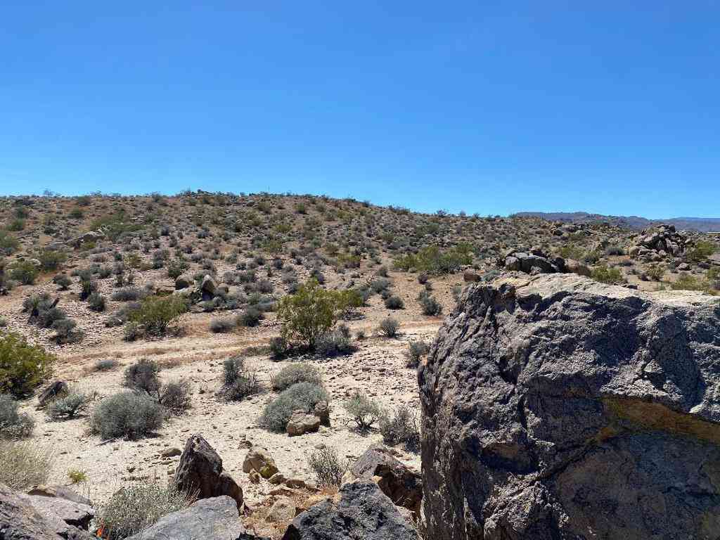 Vacant Land For Sale - 5168 Lazy Lane<br/> Johnson Valley, CA 92285