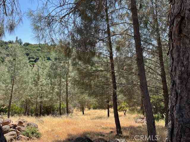 Vacant Land For Sale - 10353 Walnut Way<br/> Kelseyville, CA 95451