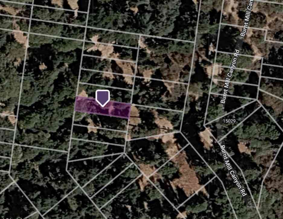 Vacant Land For Sale - Burnt Mill Canyon Road<br/> Cedarpines Park, CA 92322