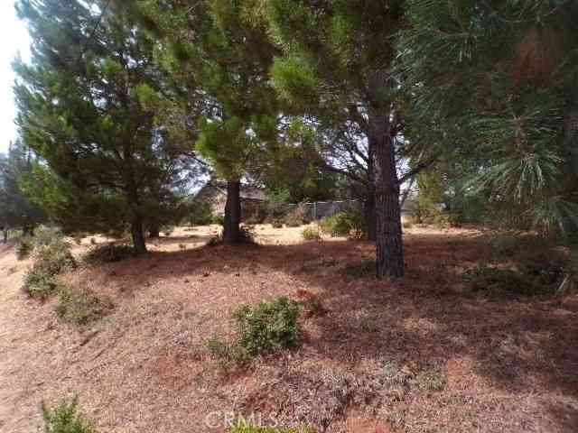 Vacant Land For Sale - 10265 Fairway Drive<br/> Kelseyville, CA 95451