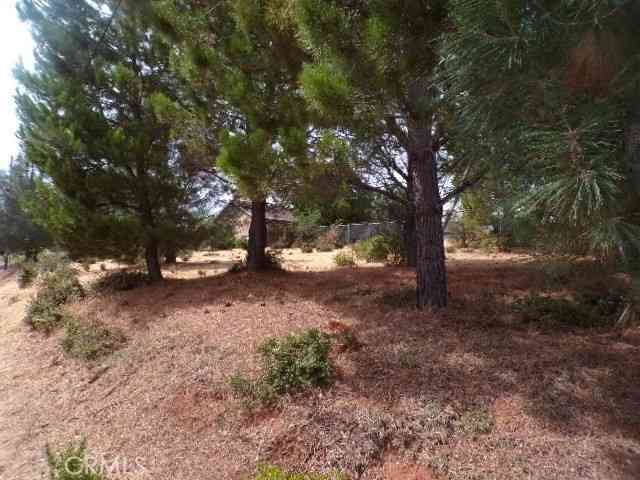 Vacant Land For Sale - 10268 Delmonte Way<br/> Kelseyville, CA 95451
