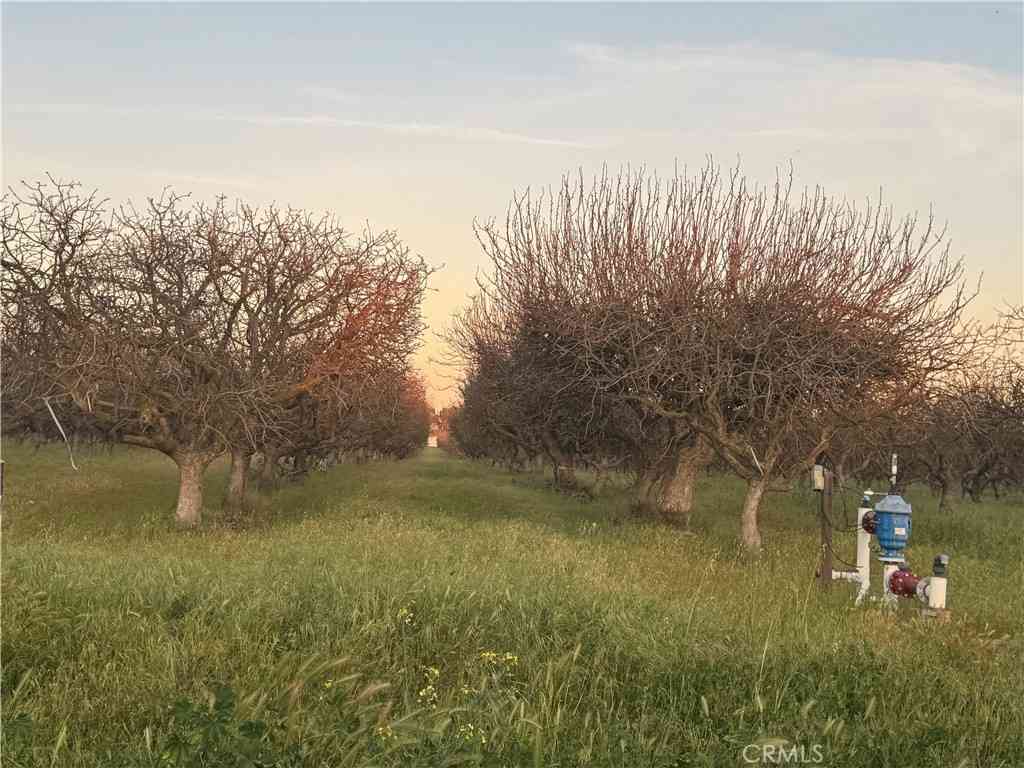 Vacant Land For Sale - Road 30<br/> Madera, CA 93638