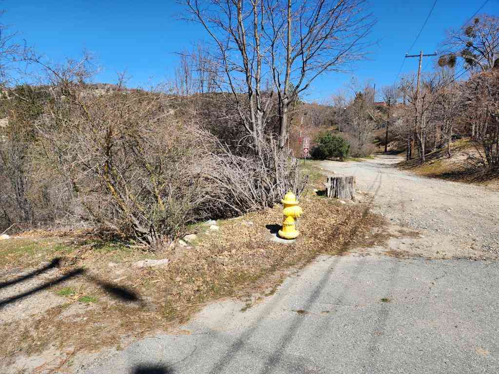 Vacant Land For Sale - Elder Drive<br/> Lake Arrowhead, CA 92321