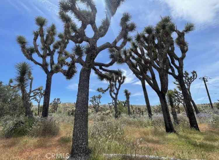 Vacant Land For Sale - 7777 Onaga Trail<br/> Yucca Valley, CA 92284