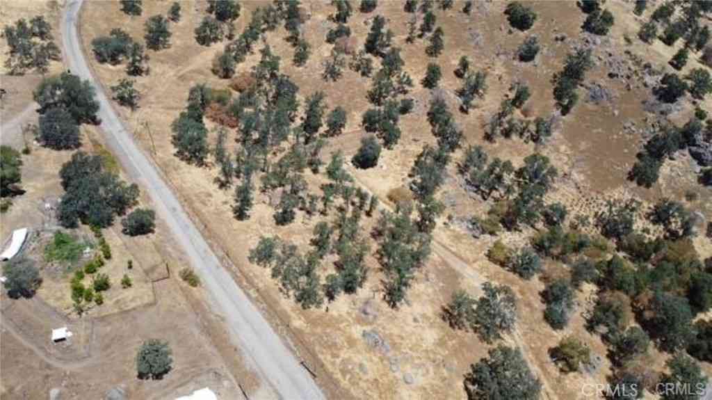 Vacant Land For Sale - 1 ..<br/> Squaw Valley, CA 93675