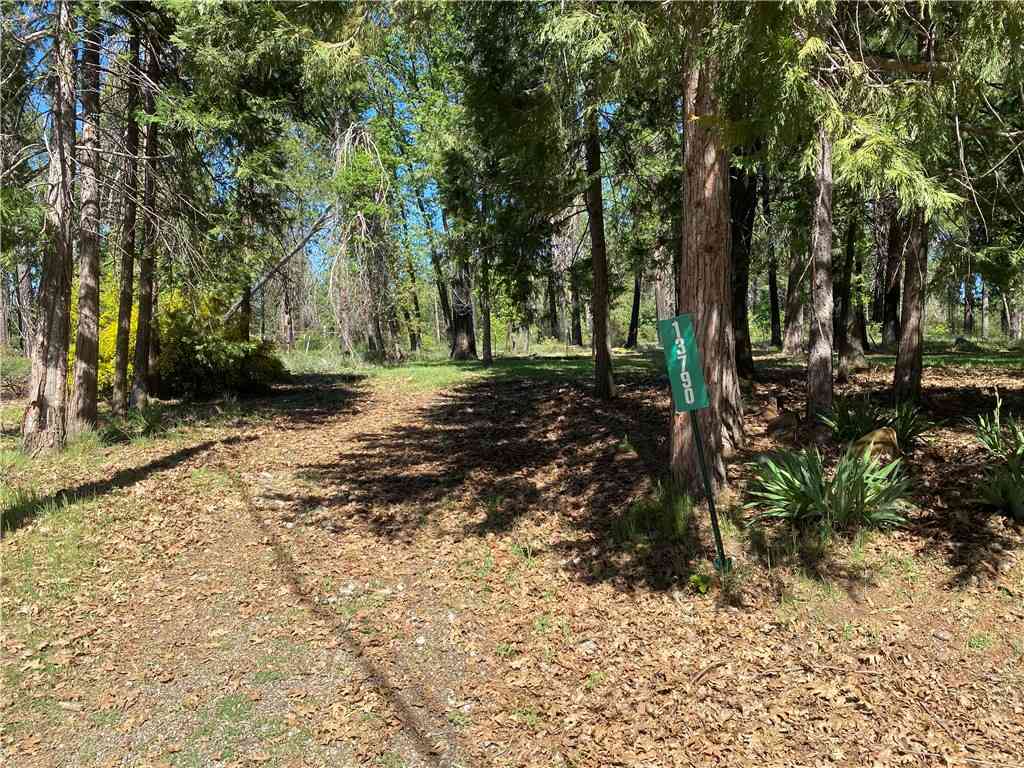 Vacant Land For Sale - 13790 Curtis Court<br/> Butte County, Magalia, CA 95954