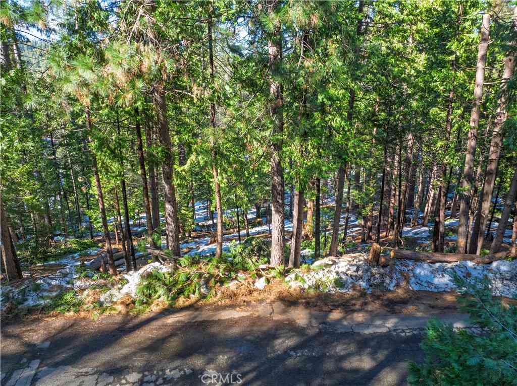 Vacant Land For Sale - 1803 Evergreen<br/> Arnold, CA 95223