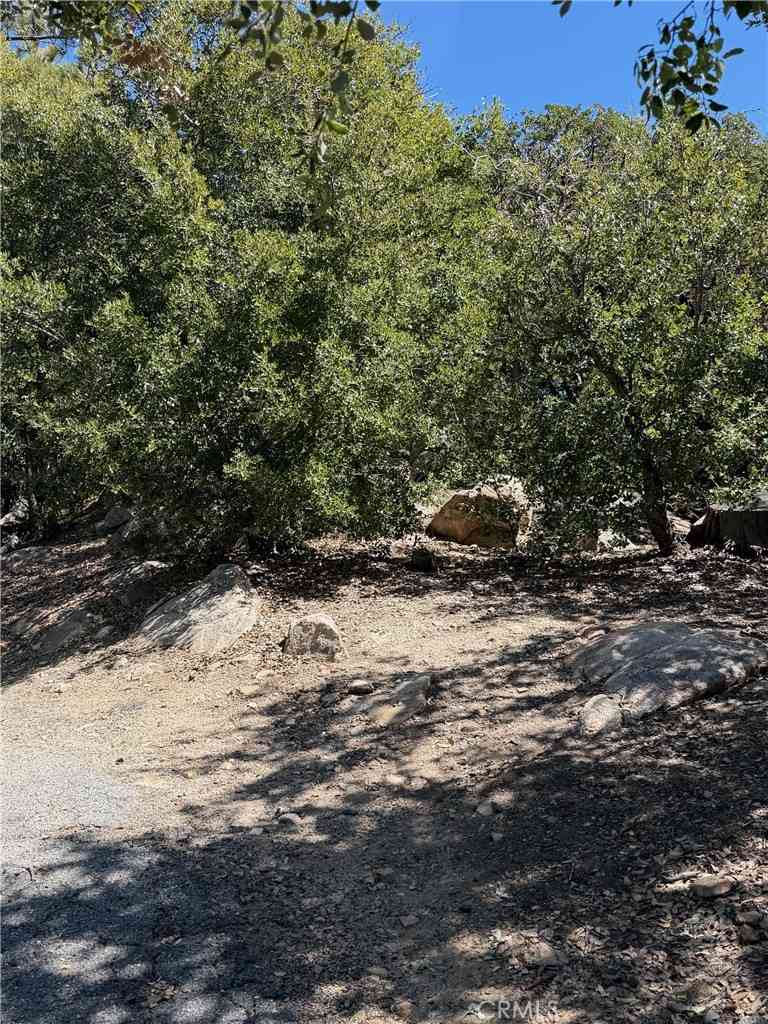 Vacant Land For Sale - Grasshorn Terrace<br/> Lake Arrowhead, CA 92352