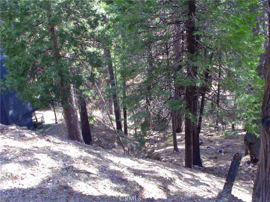Vacant Land For Sale - 2379 Spring Oak<br/> Running Springs, CA 92382