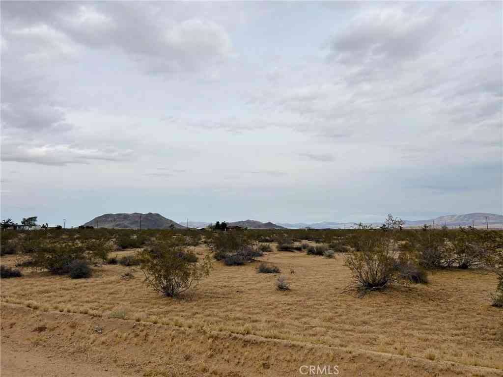Vacant Land For Sale - No Address<br/> Landers, CA 92285