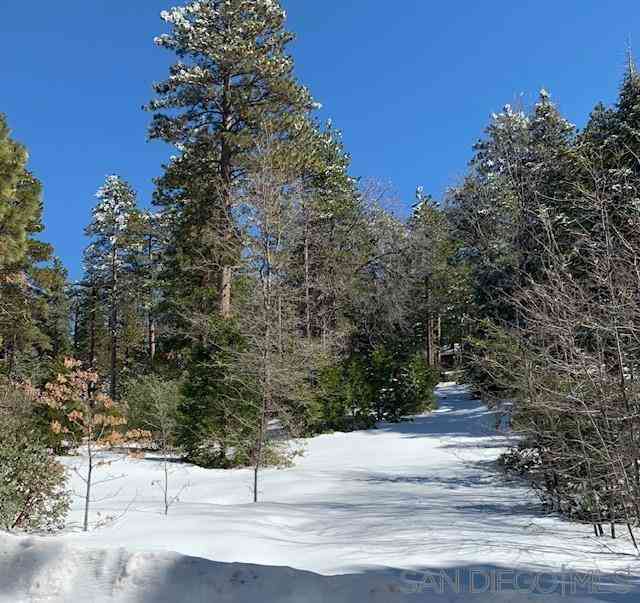 Vacant Land For Sale - Laurel Trail<br/> Idyllwild, CA 92549