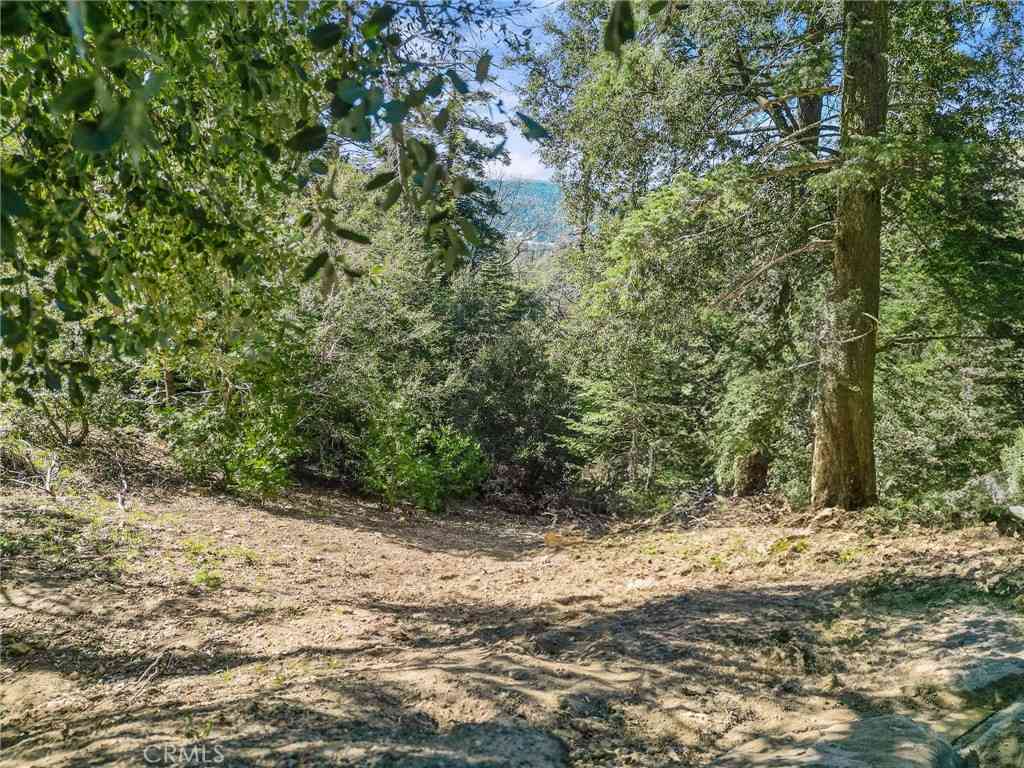 Vacant Land For Sale - Chateau<br/> Crestline, CA 92325