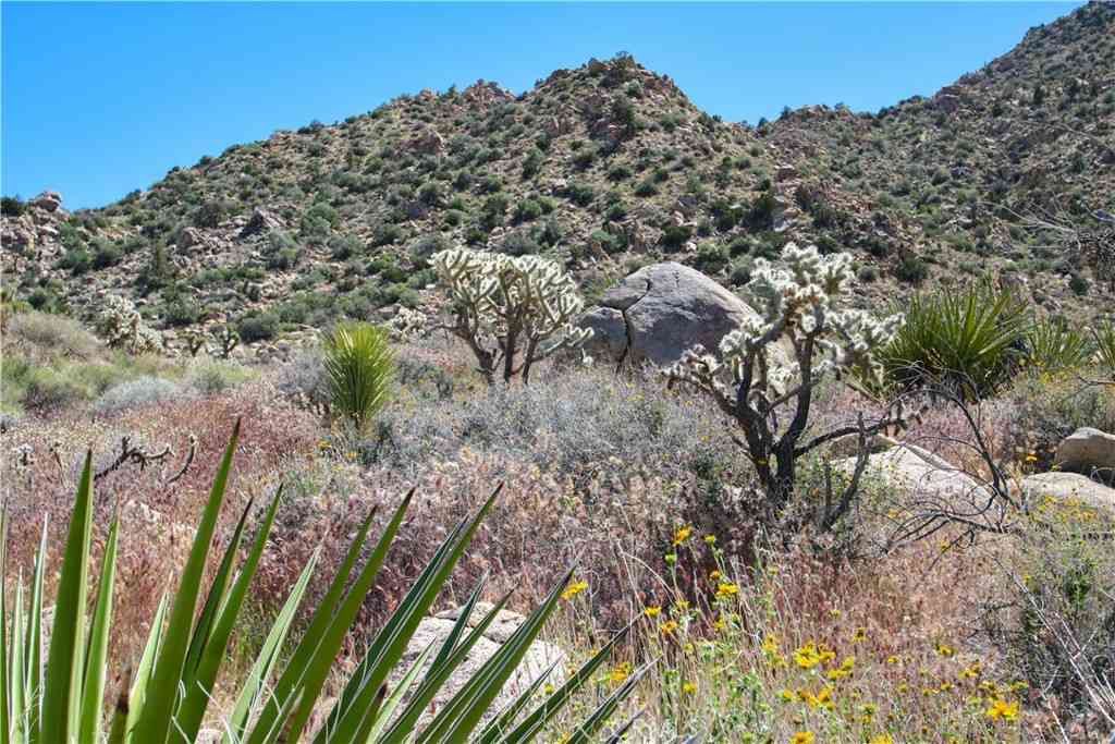 Vacant Land For Sale - San Andreas Road<br/> Joshua Tree, CA 92252