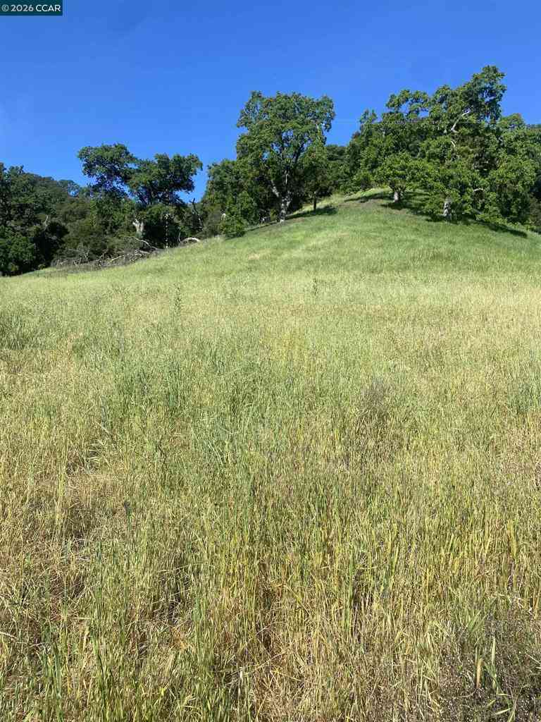 Vacant Land For Sale - Toyon Road<br/> Lafayette, CA 94549