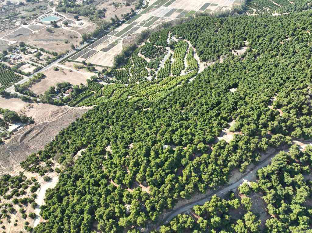 Vacant Land For Sale - 32375 Sam's Mountain Road<br/> Pauma Valley, CA 92061