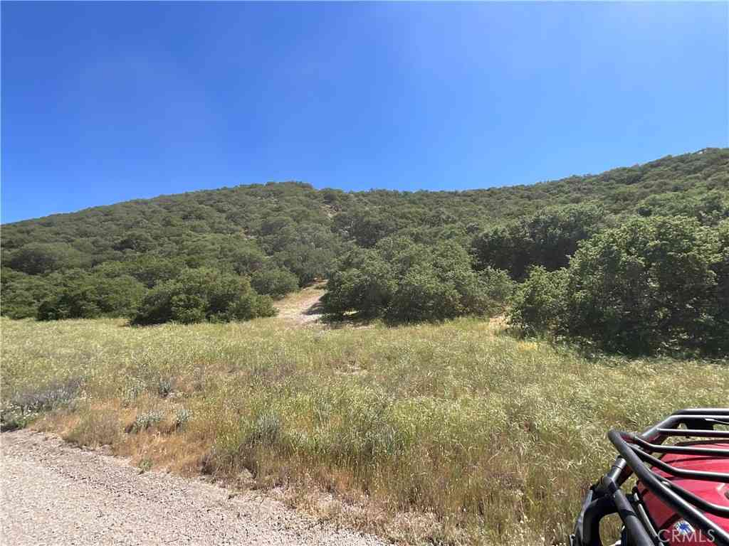 Vacant Land For Sale - 105 Paulsen Road<br/> Lockwood, CA 94326