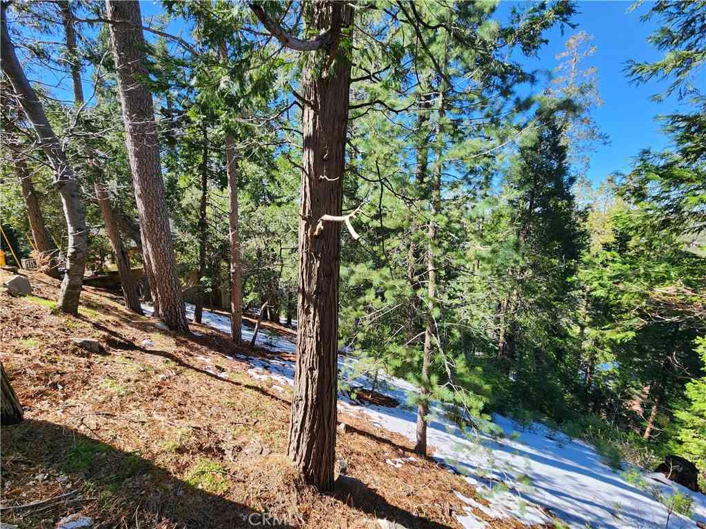 Vacant Land For Sale - 26236 Boulder Lane<br/> Twin Peaks, CA 92391