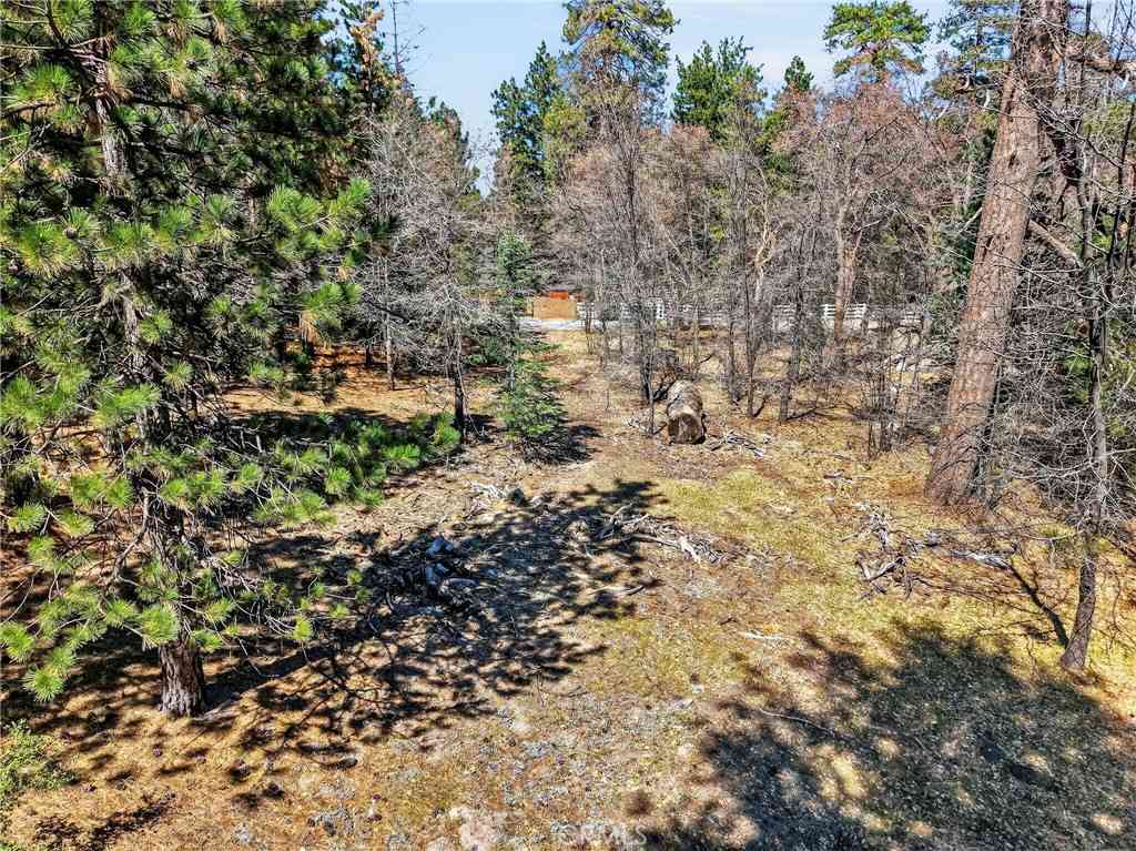 Vacant Land For Sale - Cepu Road<br/> Running Springs, CA 92382
