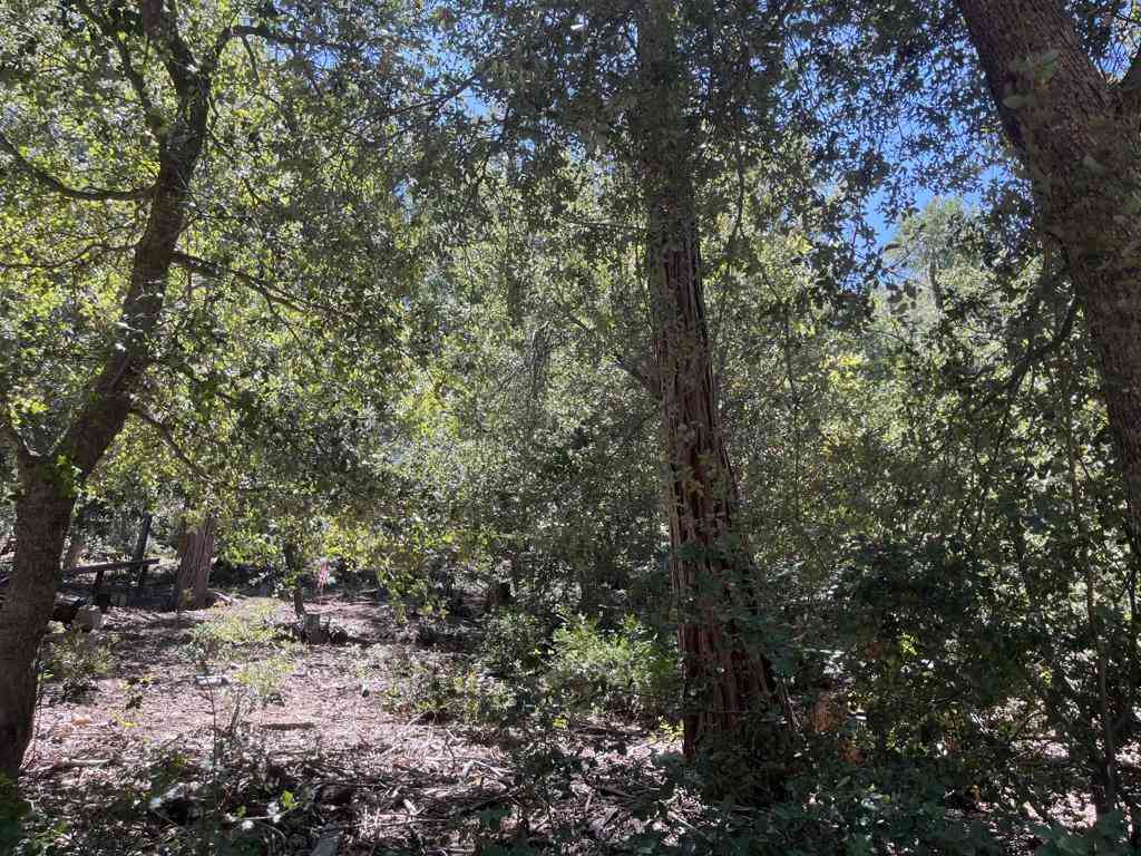 Vacant Land For Sale - Middleridge Drive<br/> Idyllwild, CA 92549