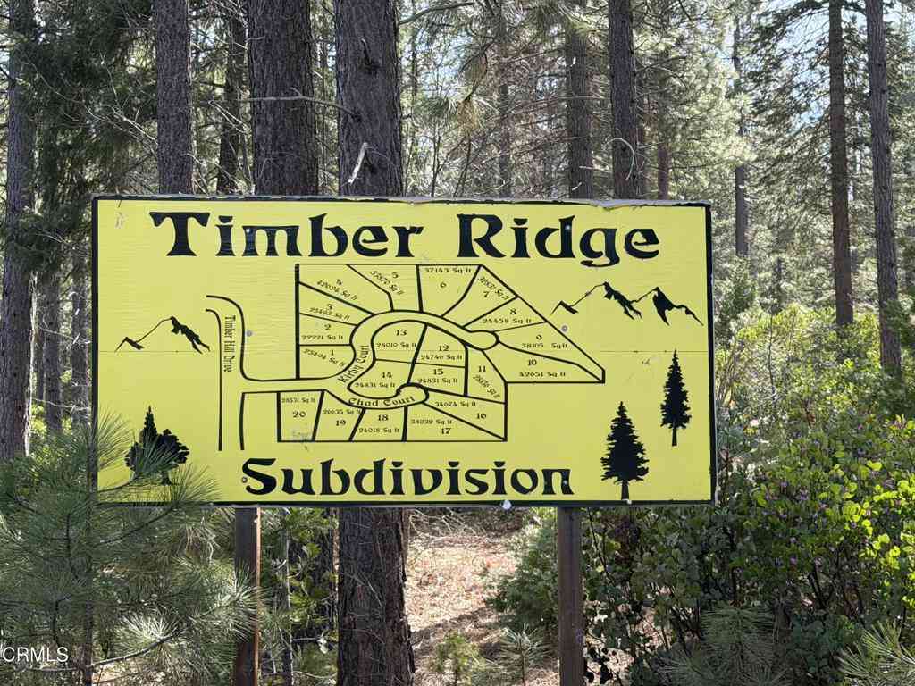Vacant Land For Sale - 4 Kirby Court<br/> Shasta County, Burney, CA 96013