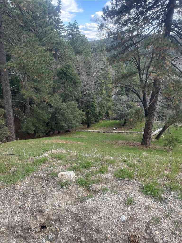 Vacant Land For Sale - Fern Canyon<br/> Cedarpines Park, CA 92322